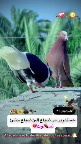 منو آحله هذه لو البولندي الآحمر لحد يغلس 😅 #اطونه آرائكم #ارافل_الناصريه_عشاق_الورفلي_المرسرس #حمر #مشاهير_تيك_توك #مشاهدات #سلافر #متابعه_ولايك_واكسبلور_احبكم #الشعب_الصيني_ماله_حل😂😂 #متابعه #لايك 
