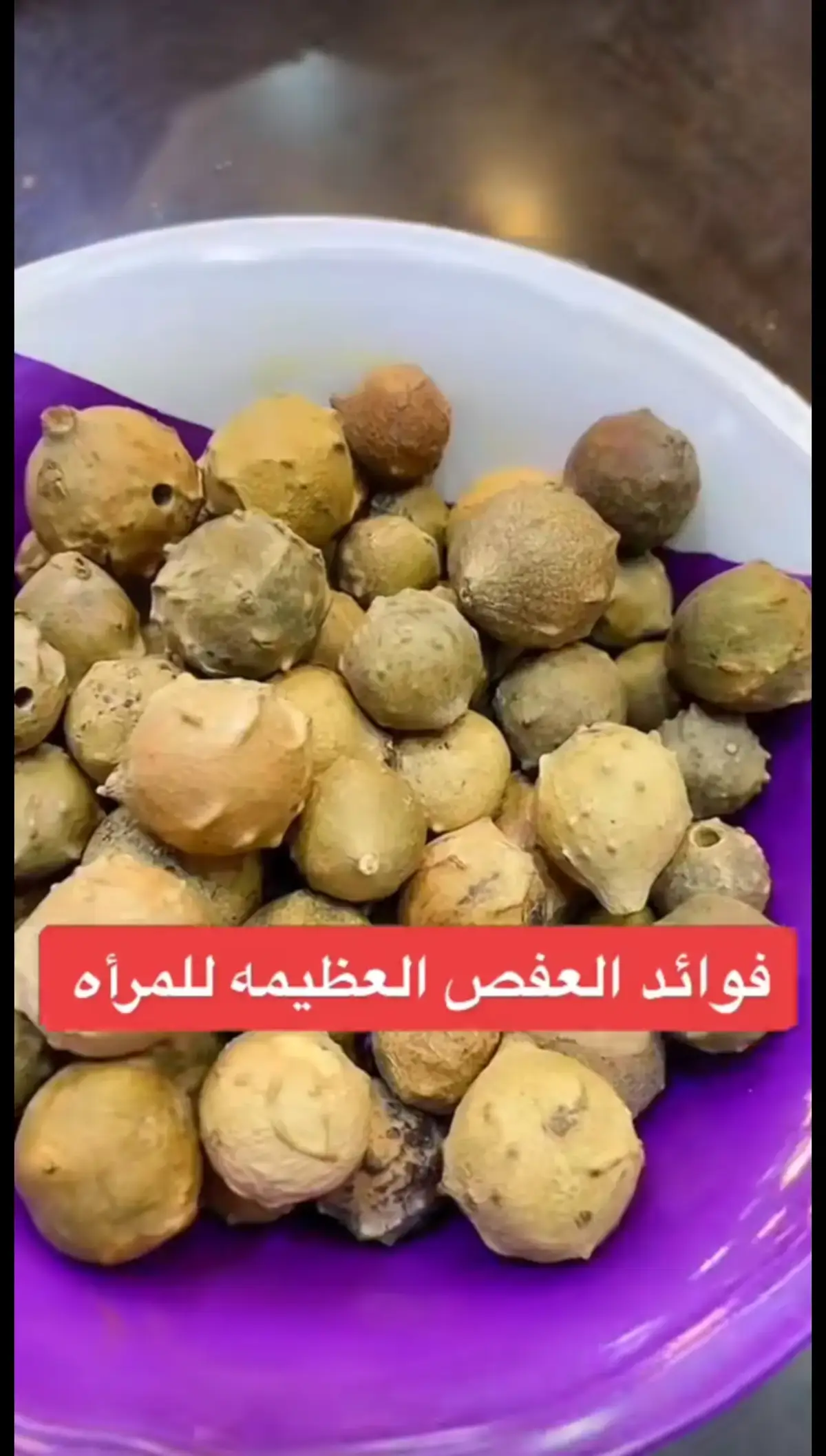 #العفص#ايلا #لجين #لايك #متابعه #الكسبلور #إعادة_النشر🔄 