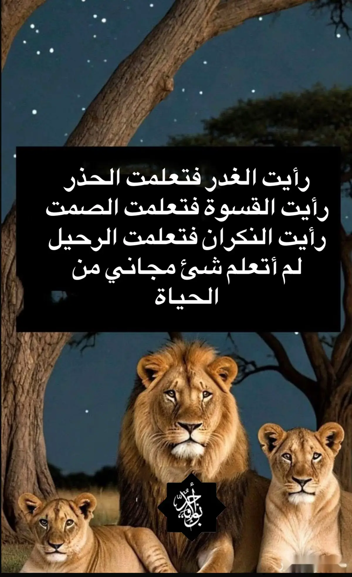 #thubiti30 #VideoShow #viraltiktok #اكسبلورexplore❥🕊❥ #الشعب_الصيني_ماله_حل😂😂🙋🏻‍♂️‍‍ 