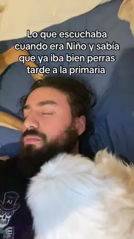 Mis perros son actores pagados #recuerdos #infancia #humor 