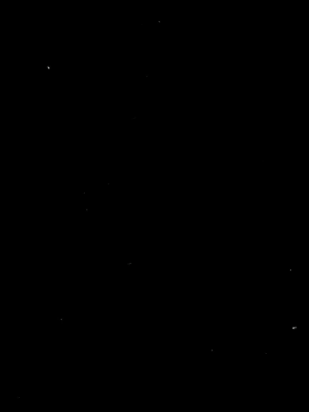 house of balloons #theweeknd #lyrics_songs #song #fyp 