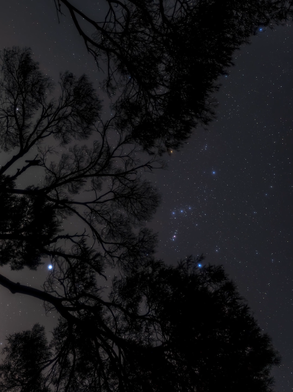 Orion ✨, Mars, and Sirius captured from West O'ahu, Hawai'i 🌴  Stars of Orion: ⭐ Betelgeuse: A red giant star, easily recognizable due to its reddish color. ⭐ Rigel: A bright blue-white supergiant, one of the brightest stars in the sky. ⭐ Bellatrix: A blue-white giant, one of the brightest stars in Orion. ⭐ Saiph: A blue-white main sequence star. ⭐ Alnitak: The first star in Orion's Belt. ⭐ Alnilam: The second star in Orion's Belt, often called the 