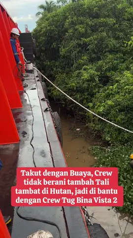 Takut Buaya, Crew tidak mau turun ke Hutan pasang tali tambat, jadi dibantu dengan Crew Bina Vista 👍👍#pelautindonesia #fyp #fypシ #piatoraya #tugmaster #kaspb #kaspb 