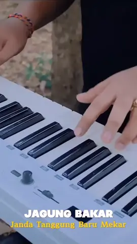Yan Srikandi - Jagung Bakar #yansrikandi #jagungbakar #musikbali #lagubalitiktok #gulabali #fyp 
