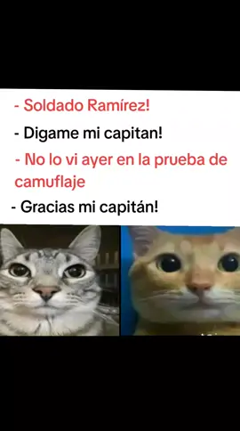 #kuerezserminobia #shitpost #brainrot #xybca 