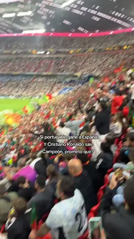 Portugal vs España #seguidores❤ #paratii #portugal #españa 