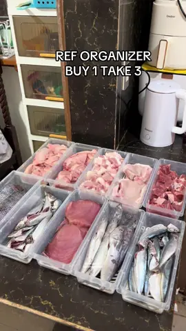 BUY 1 TAKE 3 ref organizer #reforganizer #refstorageorganizer #fyp #fypage #viral #viralvideo 