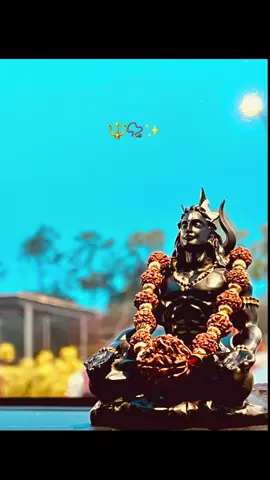 #sivayanamaha #omnamahshivay #pradhosam #fyp #fypシ゚ 