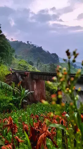 senja membawa pesan. bahwa ada kaindahan disetiap akhir😊🍃 #kereta #vidiokereta #keretaapi ##fy #masukberandafyp #kadungoragarut #jembatankarikil #sahasok?? @sahasok?? 