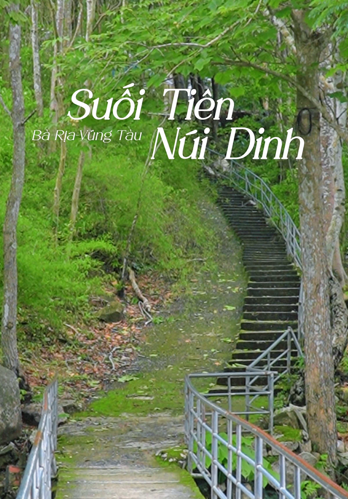 Suối Tiên Núi Dinh #nuidinh #suoitiennuidinh #tuiovungtau 