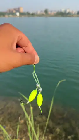 Lưỡi câu móc ngược đáy, câu cá #caucatunhien #caucagiaitri #fishing #xuhuongtiktok #tiktok #fyp #vietdocau #caudai 