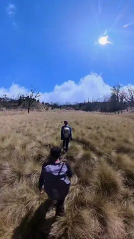 Sabana Sukmo ilang #buthak_2868_mpdl 