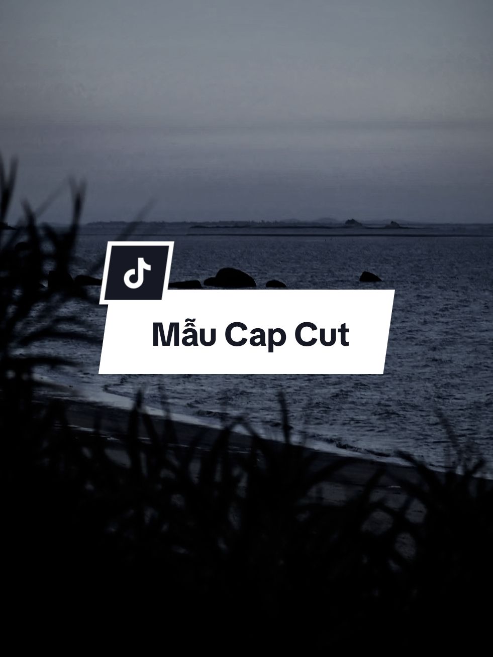 #CapCut Người con gái cô đơn lắm đấy..😇#xuhuong #dinhkhanhmusic #dinhkhanhcapcut #nhachaymoingay 