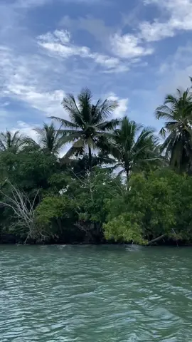🌬️⛵ 🤍🌿🍃・₊✧ #tempursari #rawa #perahu #nature #fyp #fyppppppppppppppppppppppp 