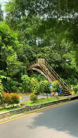 Selalu ada rindu untuk Bogor  
