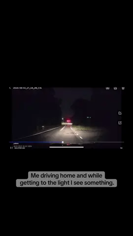 Yall I thought I was seeing things. #scared #fyp 