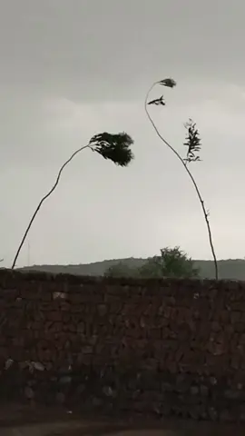 viral#foryoupage #like #follow #me #video #poshto #TikTok #follow 