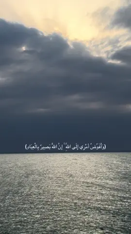 #قران_كريم 