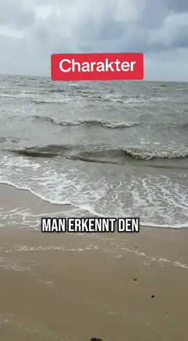 Den wahren Charakter erkennen...#charakter #höflichkeit #behandeln #begegnen #interesse #persönlich #vorteil #umgang #zubieten 