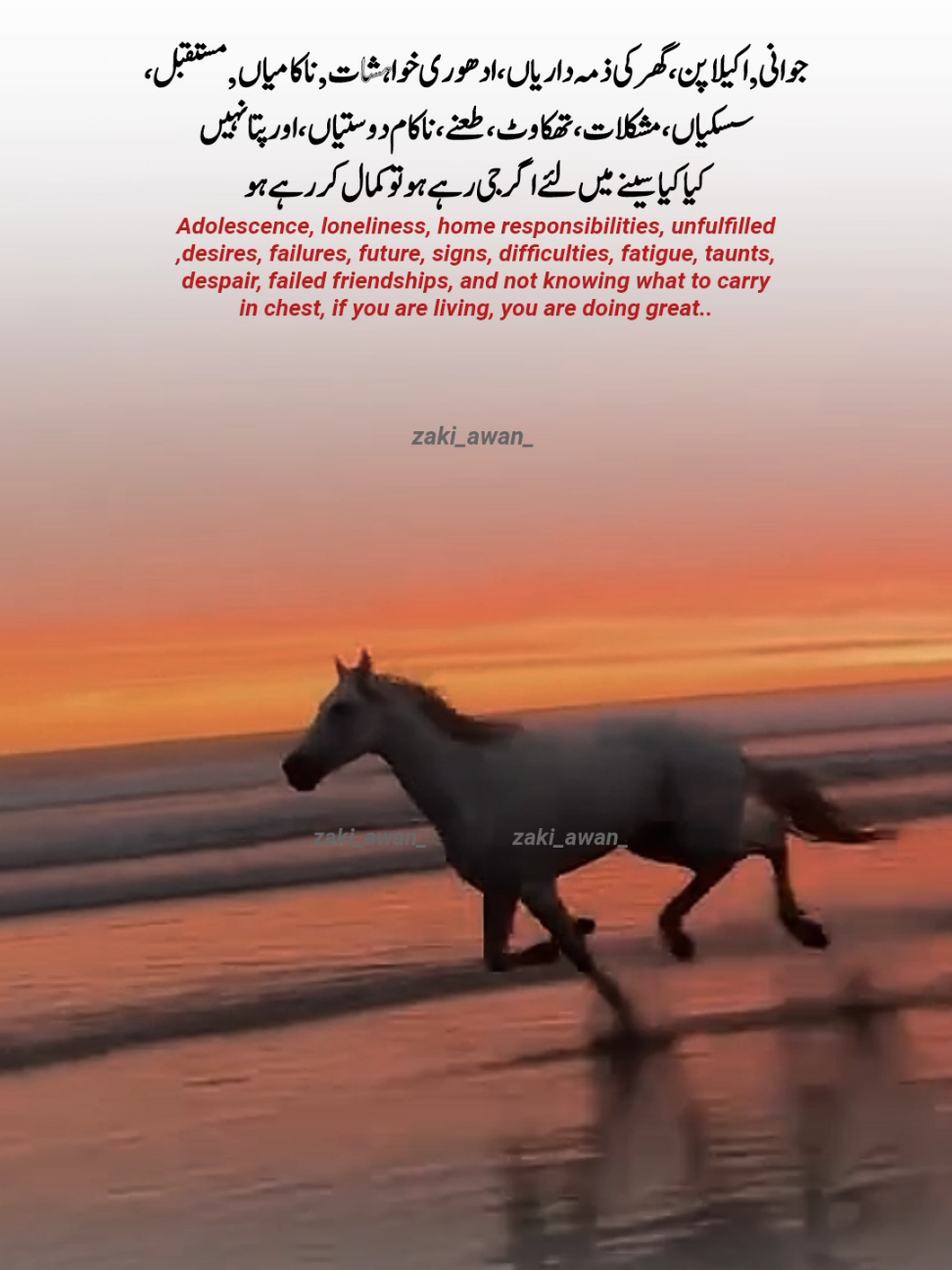 Life is not a bed of roses...It demands struggle..🕊️✨  #creatorsearchinsights #fyp #statusvedio #lines #support #shahyri #words #poetry #depressed #society #relatable #dontunderreviewmyvideo #zaki_awan_ 