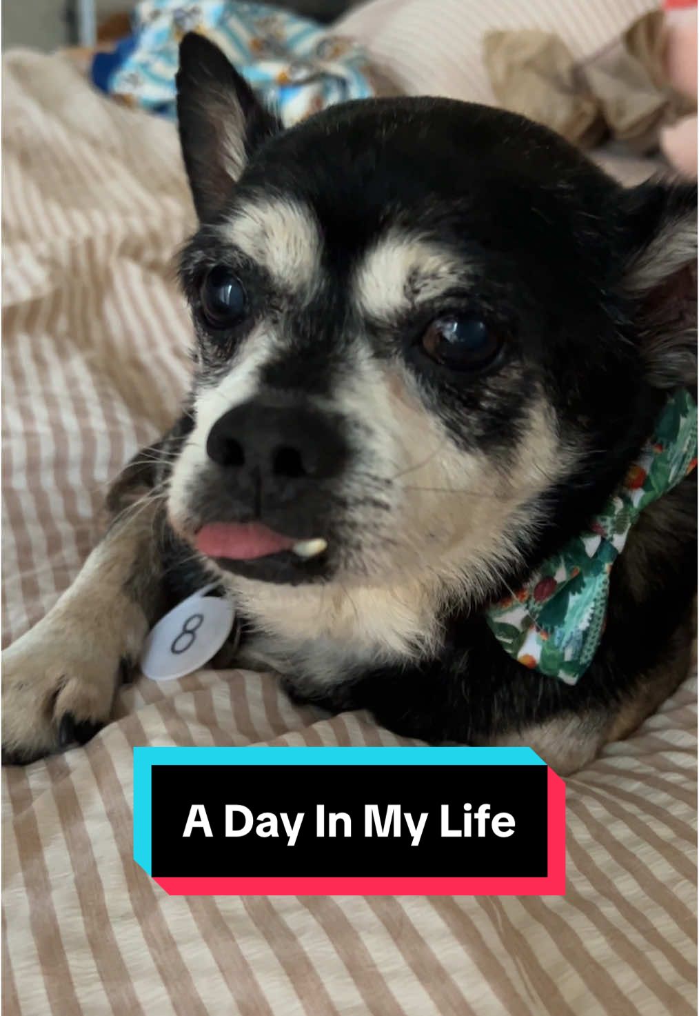 Essentially, I have a life outside of making content. lol. #Vlog #adayinmylife #adayinmylifevlog #vlogging #vlogger #content #contentcreator #fyp #foryoupage #jennieafterdark 