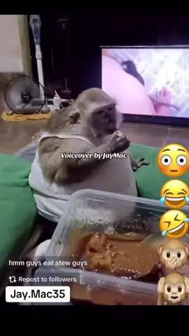 Wrong monkey! 😂😭