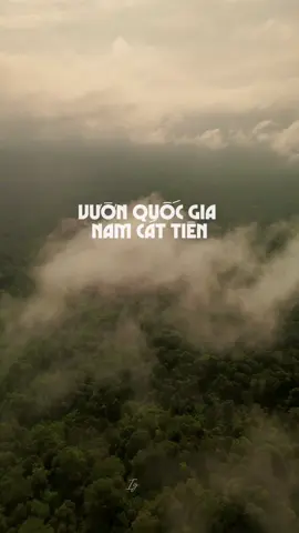 Rừng Quốc gia Nam Cát Tiên – nơi rời khỏi thành phố là chạm ngay vào thiên nhiên nguyên sơ. 🍃🎋🪵🍂📸 Đạp xe giữa cánh rừng xanh ngát, lặng người trước cây Tung cổ thụ và đêm về thì rón rén ngắm thú rừng trong bóng tối. Một chuyến đi để sống chậm, thở sâu và thấy mình thật gần với rừng.” 🌿🚲🛶🌌