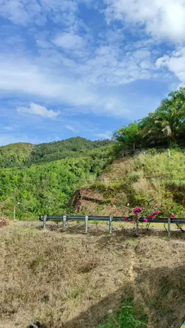 Versi mini nya dulu, nanti versi max nya ( danau toba )  #santai #bebas #danausiais #danausiaisraniate #tapsel #padangsidimpuan #pemandangan