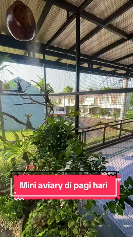 Buat sesuatu yang menenangkan di lahan yang mungil. #miniaviary #aviary #aviarybirds #aviarydepanrumah #healing #rumahminimalis 