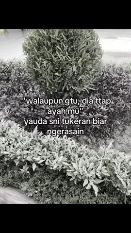 sni tukran#ayah #paling #ku #benci #broken #Home #brokenhome 