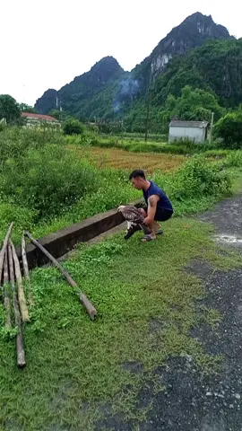 bay như bướm thế này lúc nào mới đuổi được gà 🥹