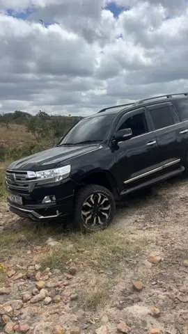 Embracing the untamed spirit of the wild. The Land Cruiser V8 is built for adventure, no road required.