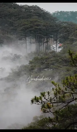 T R Ô I 💽 🎧 #SlowBurnKush #StickyFingersVibes #Dalat2025#tamtrang #xuhuongtiktok 