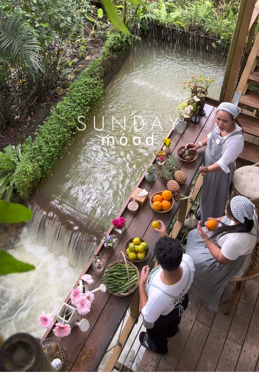 Sunday mood สวัสดีเช้าวันอาทิตย์ วันพักผ่อนของเพื่อนๆ หลายคน ช่วงนี้น้ำในลำธารของบ้านไร่ กำลังสวย แวะมาเที่ยว มาดื่ม มาถ่ายรูปสวยๆ ที่โซนคาเฟ่กันได้นะคะ 🥰🍃  #บ้านไร่ไออรุณ #baanraiiarun #farmstay #sunday #sundayfunday #goodmood #natural #chillout #weekend #ที่พัก #ที่พักระนอง #คาเฟ่ #cafe #fyp #เทรนด์วันนี้້ #tiktokกินเที่ยว #บรรยากาศชิวๆ 