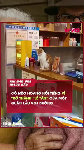 🐾 #MaikasPetShop🔥 #BossVàoSpaHếtXoã🔥 #MaikasPetShop_TắmXongHếtHôiRồi 💦 #MaikasPetShop_BossVàoLàĐẹpRa 😂 #MaikasPetShop_TắmGộiXongChảnhQuáTrời 😎 #MaikasPetShop_CắtTỉaXongNhìnMuốnCóNy 🎀 #MaikasPetShop_SenVuiBossĐẹp 🐾 #MaikasPetShop_BossVàoLàMuốnQuẩy 🛁 #MaikasPetShop_TắmThơmNgườiYêuCũQuayLại 💦 #TắmXongThơmNhưBông ✂️ #CắtTỉaChuẩnGuSen 😂 #BossVàoLàĐẹpRa 😎 #SpaXongLàMuốnCóNy 🐕 #CúnSangMèoXịn 💁‍♀️ #ThơmThoNhưNgườiYêuCũMuốnQuayLại 🛁 #TắmGộiXongChảnhLuôn 🎀 #MượtMàngBồngBềnhNhưMây 🛁 #SpaThưGiãnChoBoss 🐶 #CúnXinhMèoĐẹp 🐱 #SenGiỏiBossKhỏe ✨ #TắmGộiSangChảnh 💖 #ChămSócThúCưng 🌿 #PetSpaThiênNhiên 🏡 #BossCũngCầnThưGiãn 🛒 #PetShopUyTín 🎀 #CắtTỉaSiêuXinh 💦 #tắmthơmphức 