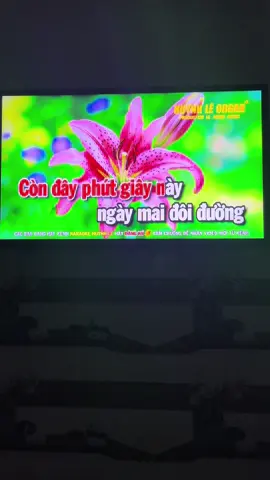 Hạ Nhớ...😌 #karaoke #cover #62longan 