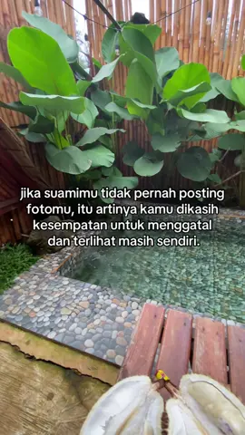 jadi nikmati saja, jangan dibawa pusing#fyp 