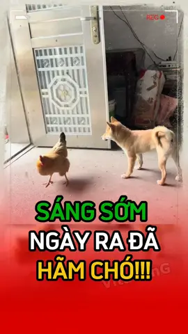 tau biết thừa rồi 🙄🙄🙄#giaitri #haihuoc #vitaming 