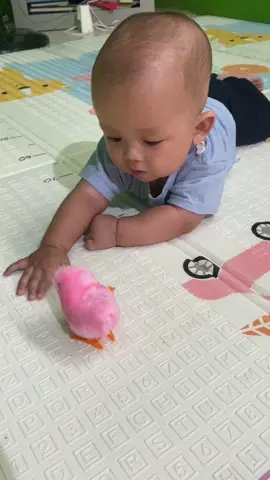 Mainan anak ayam piyik-piyik #mainananak #mainanviral #mainanmurah 