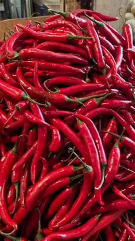 🌶️🐍 Blending in like a pro—when you’re both the spice and the danger. #magichourai #madewithmagichour #magichourillusions #wild #wildanimals #animals #snake #vegetables #spice #transformation #ai #aigenerated #aivideo #trending #viraltiktok #fyp