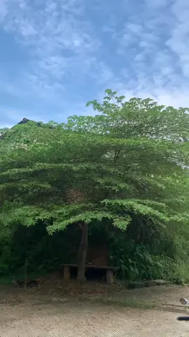 #fyp #astreagrandindonesia 