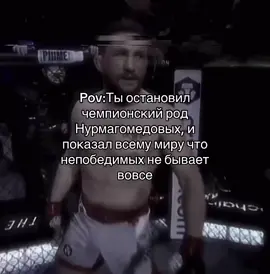 Мераб тигр #юфс #мераб #нурмагомедов 