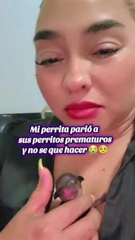 Hoy no podía ni trabajar 4 16am  que hago....?? 🥺🥺🥺😭 #fyp #parati #perritos #mascotas 