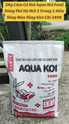 Cám Cá Koi Aqua Koi Food  #camcakoi #thucancakoi #xuhuongtiktok 