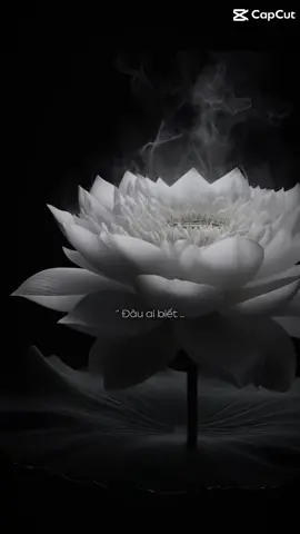 Con kính người 1 đóa sen trắng. Nhân duyên từ nhiều kiếp để kiếp này được làm người nhà cùng nhau,hai tiếng người nhà nghe thiêng liêng và ruột thịt, ai rùi cũng trải qua sinh- lão - bệnh-tử, con nguyện tất cả hoá thành mây lành đưa người về cõi vĩnh hằng thật nhẹ nhàng và bình an🙏🙏🙏🥹🥹 vĩnh biệt ông 08/06/2025 