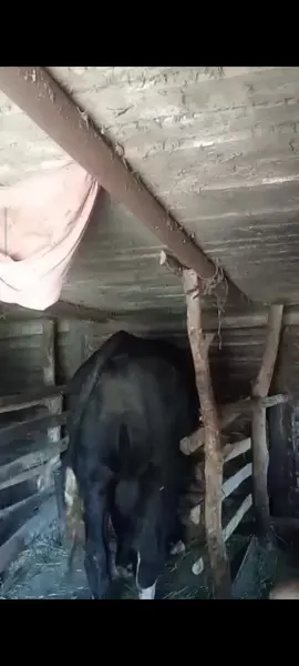 @Отець ІВАН 