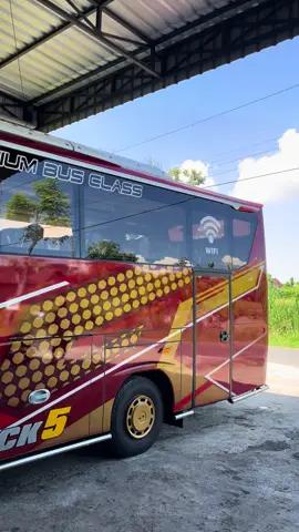 stock terkini medium JB3&JB🖐️#driver #bus #busmedium #pariwisata #drivermuda #buspariwisata 