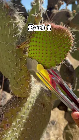 Two days before my birthday, my mom texted, 