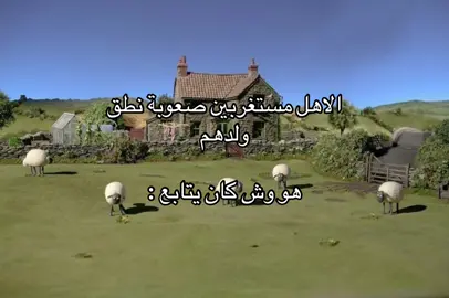 الصوت صوتي ادعمون ههههههههههههه #fypシ゚viral #اكسبلور #fyp #explore 