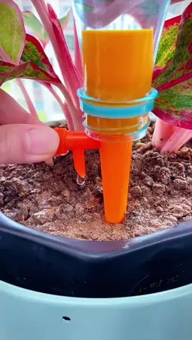 Vòi tưới nước nhỏ giọt tự động gắn chai nước tiện lợi #voituoinuoctudong #voituoinuocnhogiot #dodungtienich 